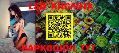 бошки Краснодар