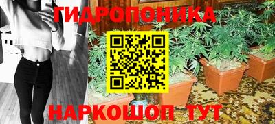 бошки Краснодар