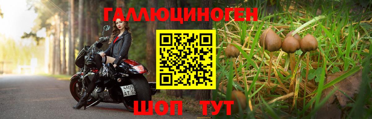 Каменск-Шахтинский  Псилоцибиновые грибы Magic Shrooms  Вход с VPN 
