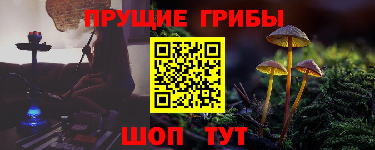 Галлюциногенные грибы Psilocybine cubensis Каменск-Шахтинский
